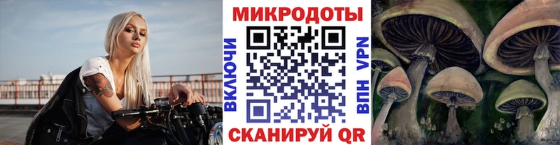 купить  сайты  Арамиль  Галлюциногенные грибы GOLDEN TEACHER 